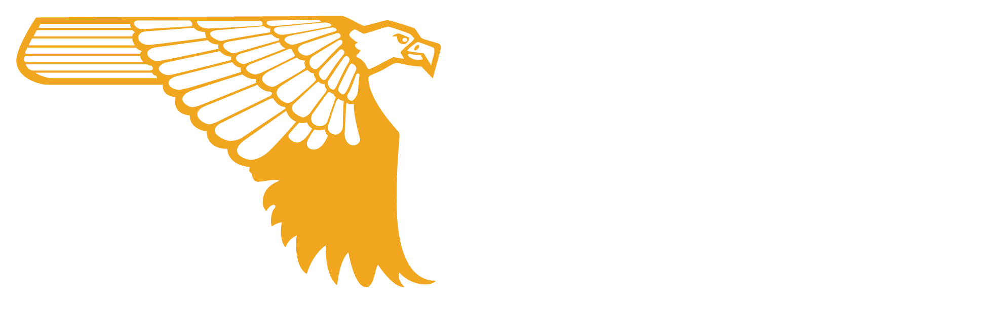 Desert Eagle Guns USA